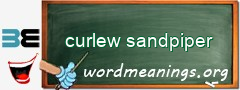 WordMeaning blackboard for curlew sandpiper
